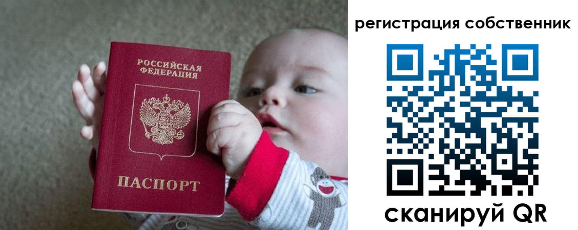 прописка в Домодедово